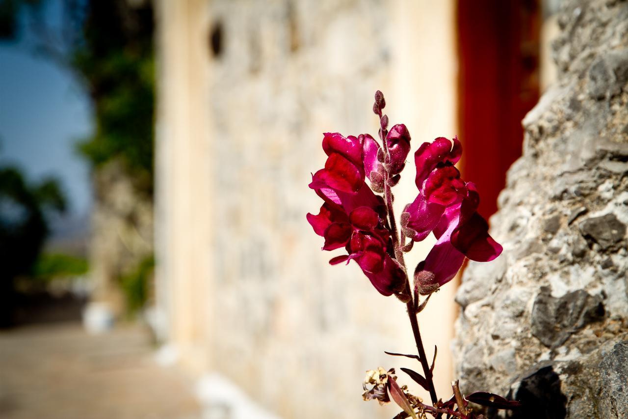 Monastiraki Traditional Guest House Monastirakion  Exteriör bild